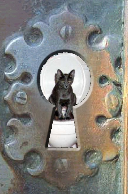 Photoshop-Design von ChopperDave für DesignCrowd (Community Contests) | Design #9164310