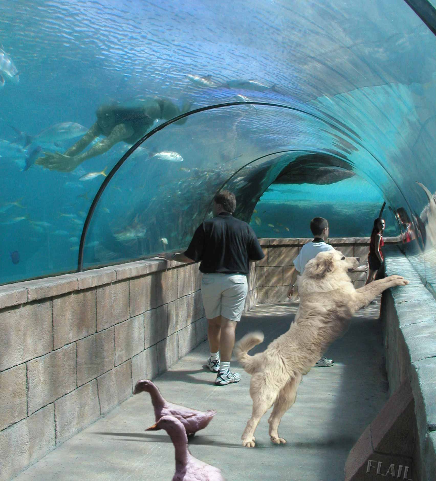 Photoshop Design by Flail for DesignCrowd (Community Contests) | Design #9161514