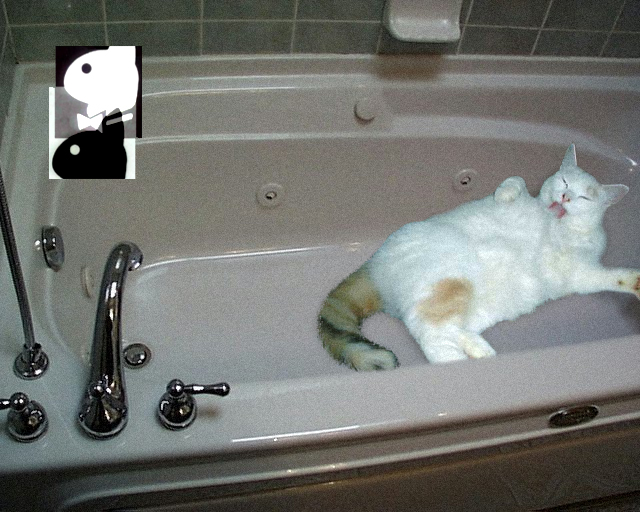 Photoshop Design by handen for DesignCrowd (Community Contests) | Design #9161606