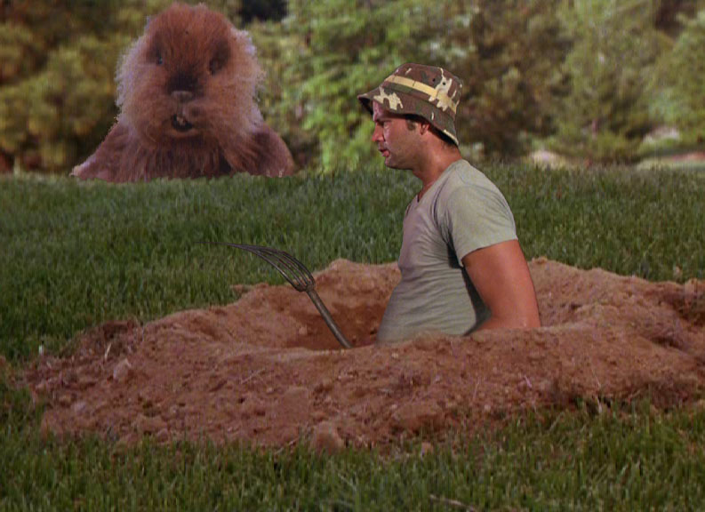 Photoshop Design by Anton for DesignCrowd (Community Contests) | Design #9161627