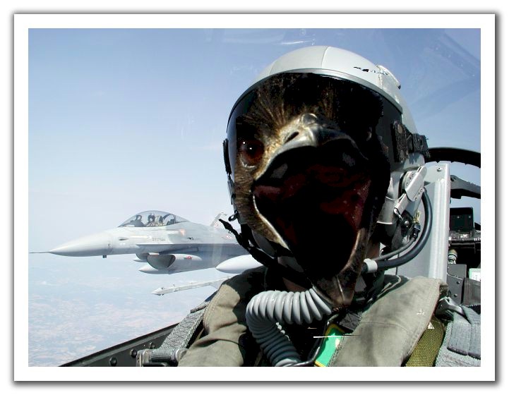 Photoshop Design by Slime for DesignCrowd (Community Contests) | Design #9161649