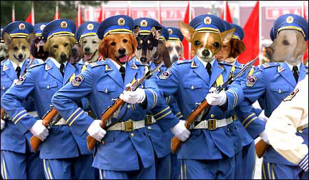 Photoshop Design by Wingnut for DesignCrowd (Community Contests) | Design #9161665