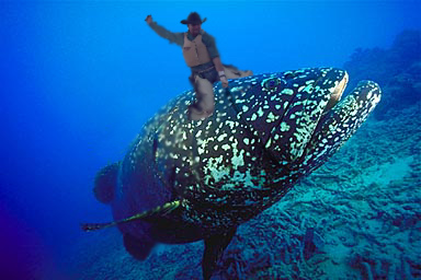 Photoshop Design by Old__Grendel for DesignCrowd (Community Contests) | Design #9163354