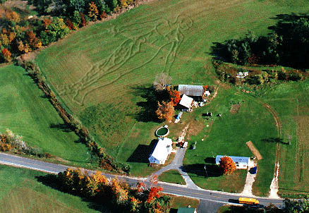 Photoshop Design by magicgoo for DesignCrowd (Community Contests) | Design #9159470