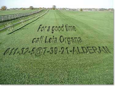 Photoshop Design by Wingnut for DesignCrowd (Community Contests) | Design #9159506