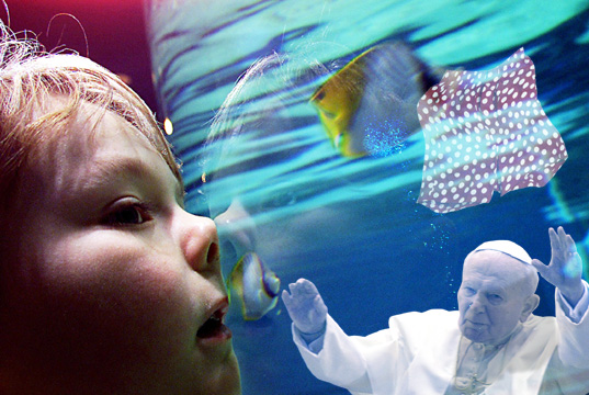 Photoshop Design by Grandmandoe for DesignCrowd (Community Contests) | Design #9163477