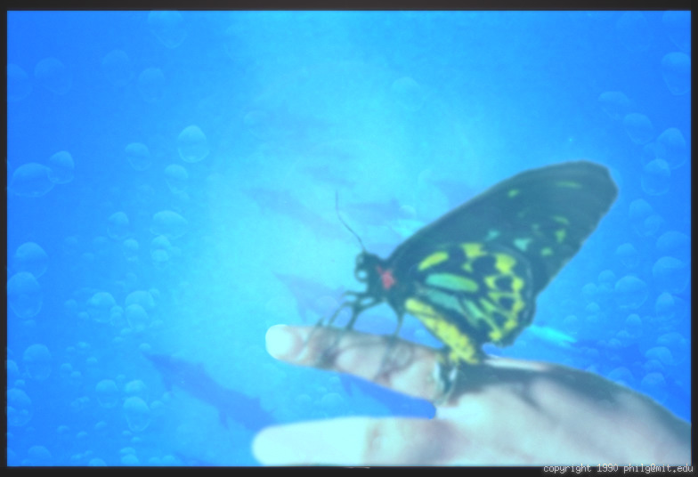 Photoshop-Design von unapologetic für DesignCrowd (Community Contests) | Design #9163518