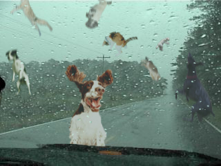 Design Photoshop par Zilly pour DesignCrowd (Community Contests) | Design #9163335