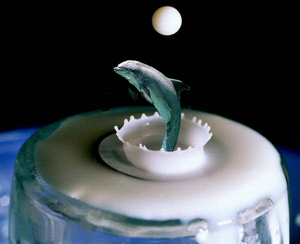 Photoshop Design by dareker69 for DesignCrowd (Community Contests) | Design #9163545