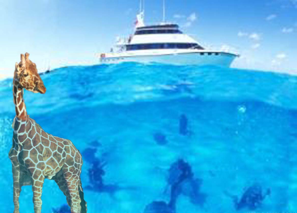 Design Photoshop par FullMoonMaiden pour DesignCrowd (Community Contests) | Design #9163513