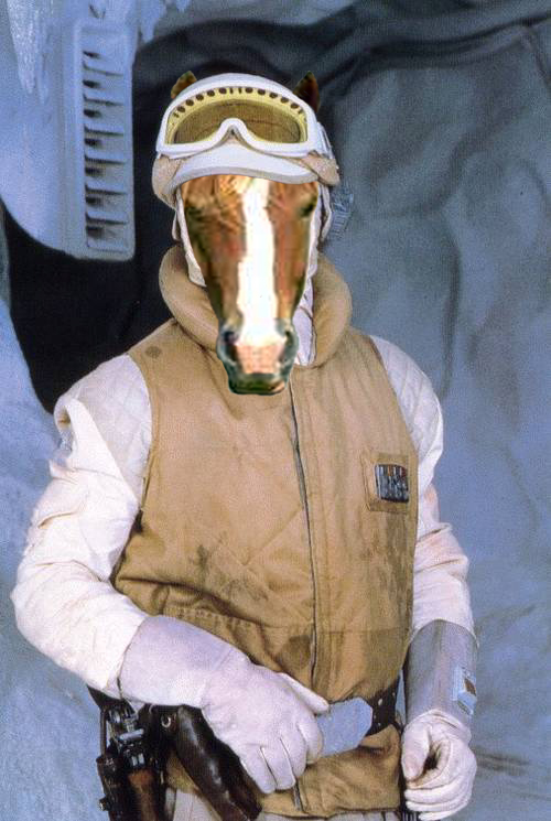 Photoshop Design by princeok for DesignCrowd (Community Contests) | Design #9163343