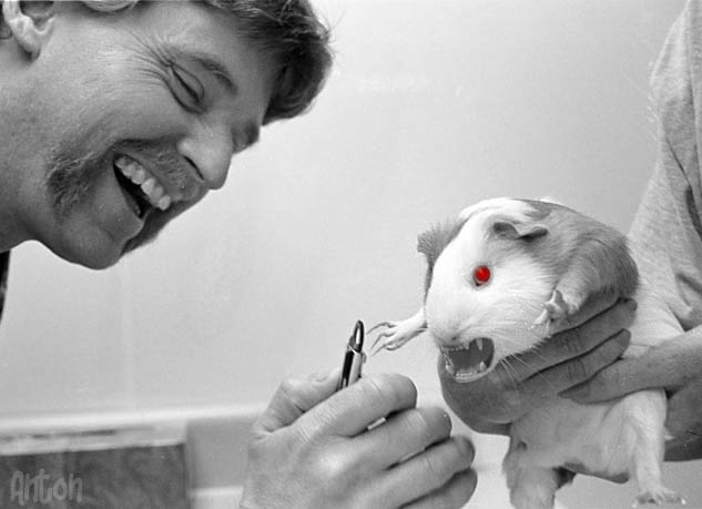 Photoshop Design by Anton for DesignCrowd (Community Contests) | Design #9160280