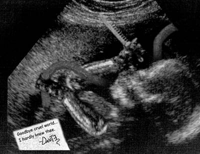 Photoshop-Design von HRDCOR für DesignCrowd (Community Contests) | Design #9159821