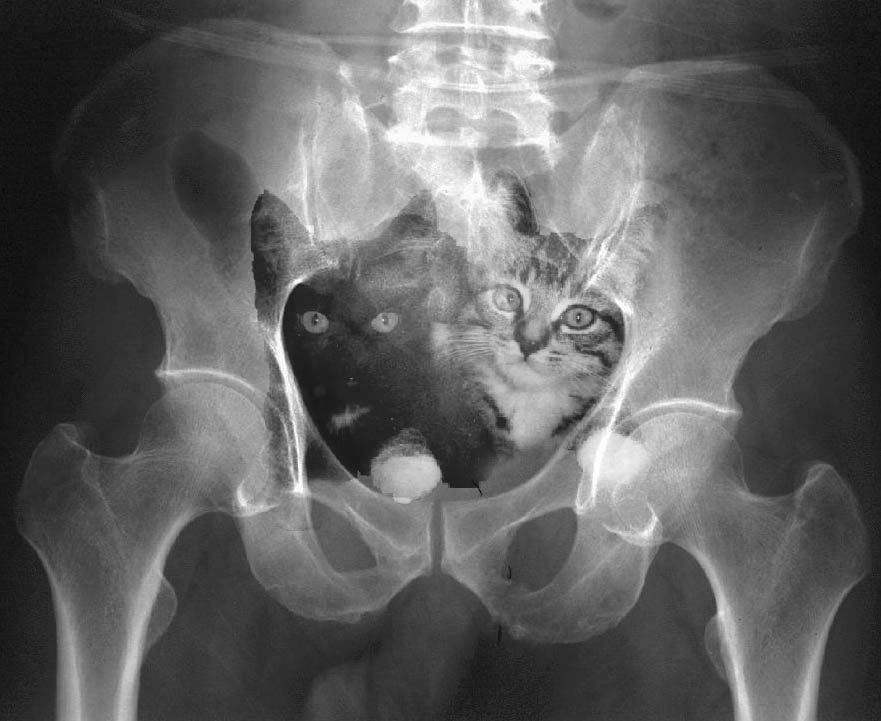 Photoshop Design by Kanada for DesignCrowd (Community Contests) | Design #9159823