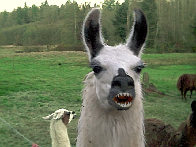 Photoshop Design by Dveil for DesignCrowd (Community Contests) | Design #9160564