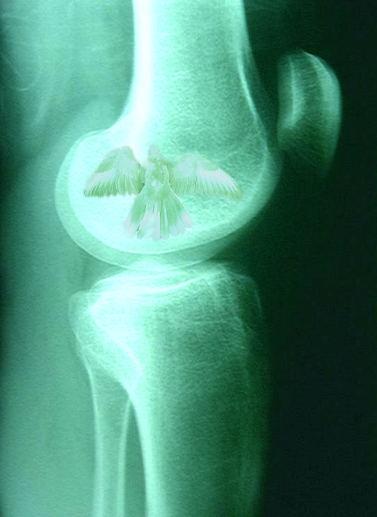 Diseño de Photoshop por john_doe145 para DesignCrowd (Community Contests) | Diseño #9160005