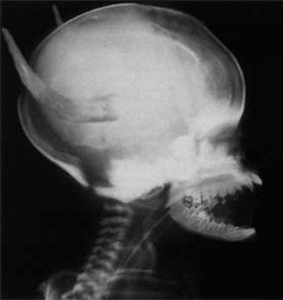 Design Photoshop par unapologetic pour DesignCrowd (Community Contests) | Design #9160063