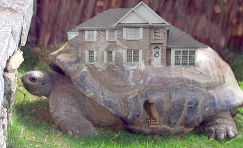 Photoshop Design by unapologetic for DesignCrowd (Community Contests) | Design #9161763