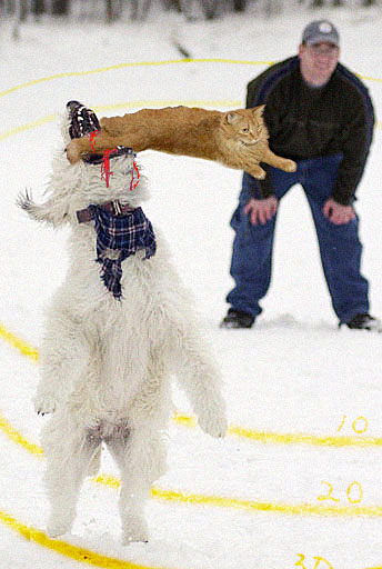 Photoshop Design by Grandmandoe for DesignCrowd (Community Contests) | Design #9159211