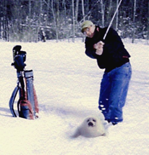 Diseño de Photoshop por Cyn para DesignCrowd (Community Contests) | Diseño #9159224