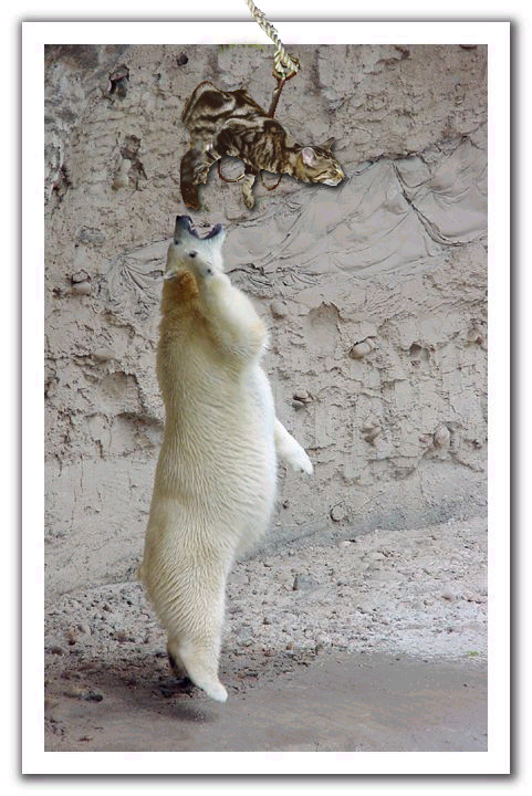 Photoshop-Design von Slime für DesignCrowd (Community Contests) | Design #9159230