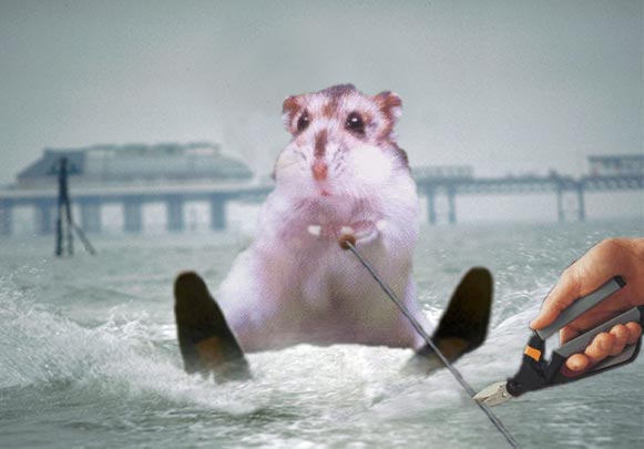 Photoshop Design by Flail for DesignCrowd (Community Contests) | Design #9159236