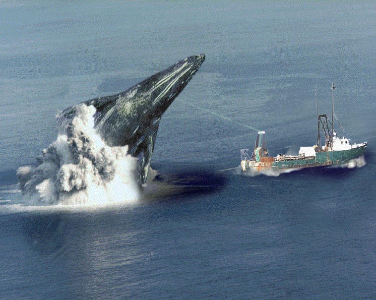 Photoshop Design by Flail for DesignCrowd (Community Contests) | Design #9161388