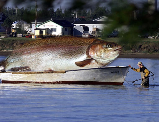 Photoshop Design by Mactheknife for DesignCrowd (Community Contests) | Design #9161438