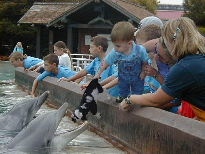 Photoshop Design by mark24 for DesignCrowd (Community Contests) | Design #9161458