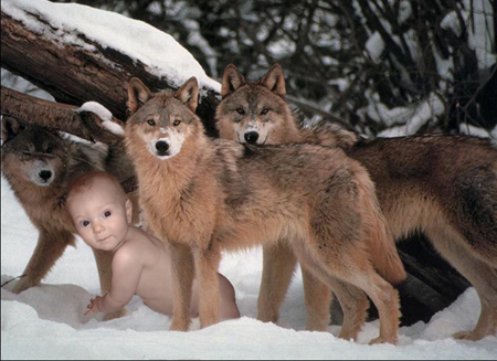 Photoshop-Design von unapologetic für DesignCrowd (Community Contests) | Design #9161479