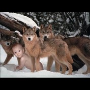 Photoshop Design by unapologetic