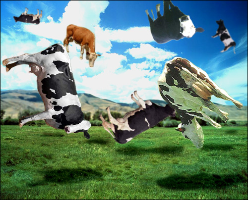 Photoshop-Design von nautiq für DesignCrowd (Community Contests) | Design #9160026