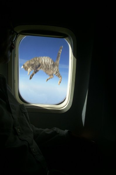 Photoshop Design by pinballwizard for DesignCrowd (Community Contests) | Design #9160109