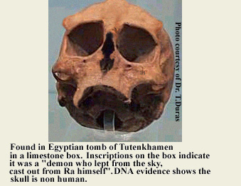 Diseño de Photoshop por Wylekat para DesignCrowd (Community Contests) | Diseño #9158979