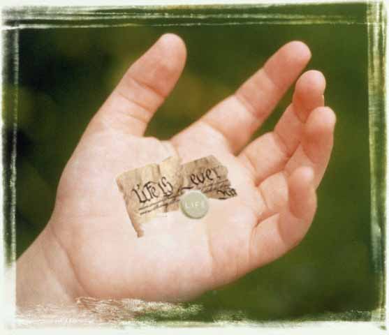 Diseño de Photoshop por stuartmunro para DesignCrowd (Community Contests) | Diseño #9160372