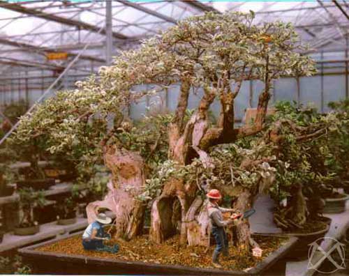 Diseño de Photoshop por Mojax para DesignCrowd (Community Contests) | Diseño #9159456