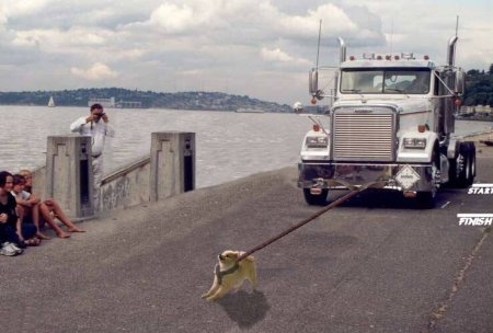 Design Photoshop par SiIkenFairy pour DesignCrowd (Community Contests) | Design #9160204