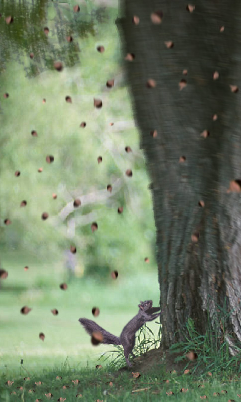 Photoshop Design by ARagMan for DesignCrowd (Community Contests) | Design #9160286