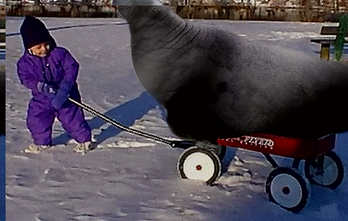 Photoshop Design by Dveil for DesignCrowd (Community Contests) | Design #9160284