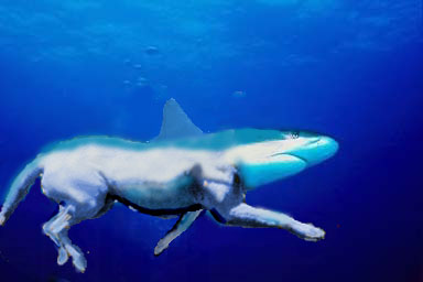 Design Photoshop par fireman1365 pour DesignCrowd (Community Contests) | Design #9160212