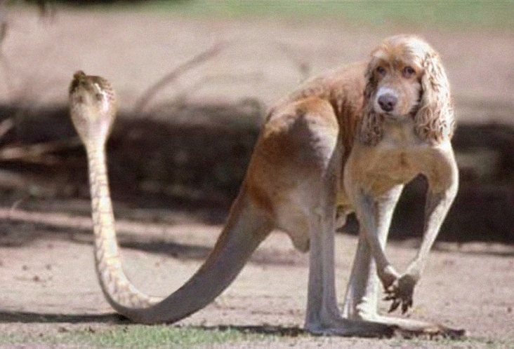 Photoshop Design by mark24 for DesignCrowd (Community Contests) | Design #9160230