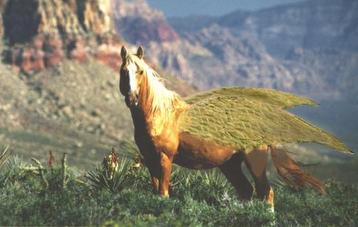 Diseño de Photoshop por ChocolateMan para DesignCrowd (Community Contests) | Diseño #9160395