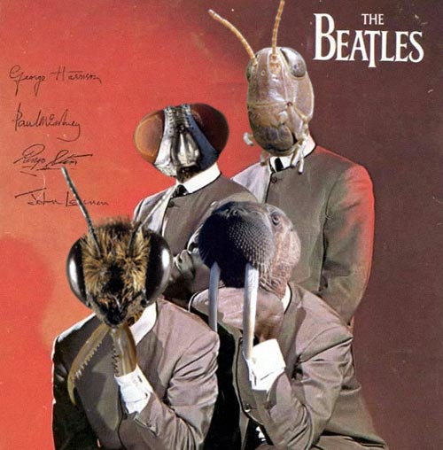 Photoshop Design by fRedline for DesignCrowd (Community Contests) | Design #9160285