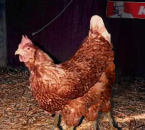 Photoshop Design by generalben for DesignCrowd (Community Contests) | Design #9160390