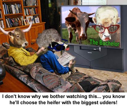 Diseño de Photoshop por billgx para DesignCrowd (Community Contests) | Diseño #9160044