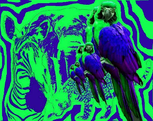Photoshop Design by Redbull_UK for DesignCrowd (Community Contests) | Design #9159743