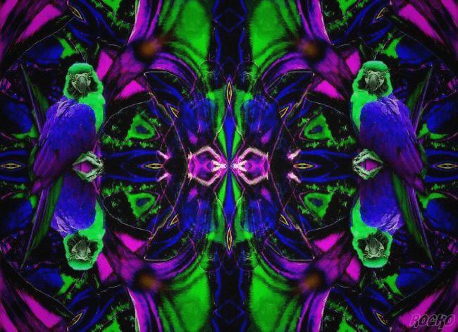 Photoshop-Design von Rocko für DesignCrowd (Community Contests) | Design #9159761