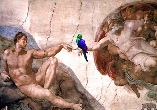 Photoshop-Design von Ranger_Rick für DesignCrowd (Community Contests) | Design #9159799