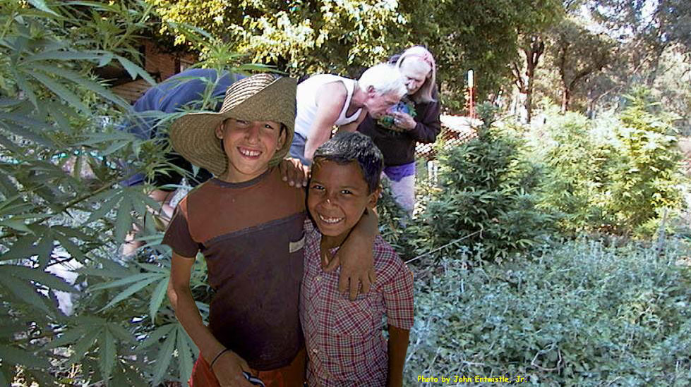 Photoshop Design by TioLoco for DesignCrowd (Community Contests) | Design #9159044