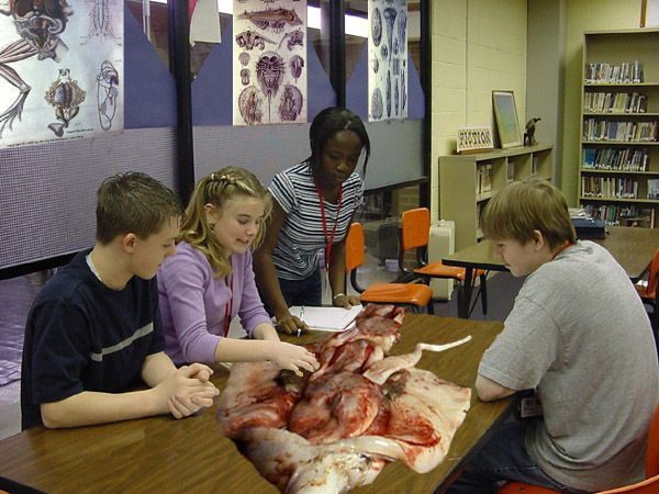 Photoshop Design by MC_500Foot_Nietzsche for DesignCrowd (Community Contests) | Design #9158598